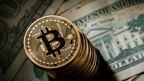 В налоговой озвучили позицию по криптовалюте Bitcoin