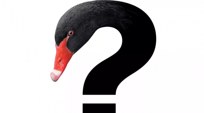 Выпуск №124: Чёрный лебедь: под знаком непредсказуемости