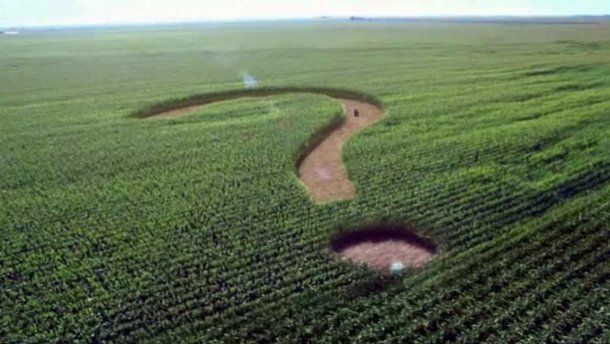 Выпуск №91: В Украине началась земельная реформа: сколько полей "поместится" в одни руки
