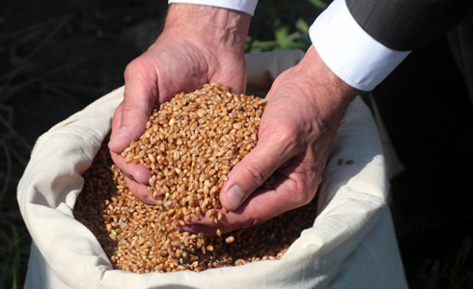 Выпуск №133: Конкуренция на рынке пшеницы растет, и Украина начинает ее продавать Саудовской Аравии