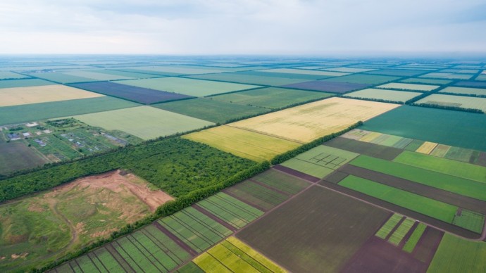 Выпуск №77: Украина может принять земельную реформу до конца года, – Офис Зеленского