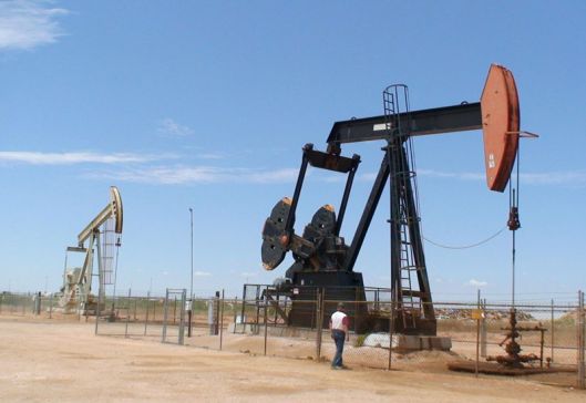 Стоимость нефти Brent выросла до $ 31 после резкого падения накануне